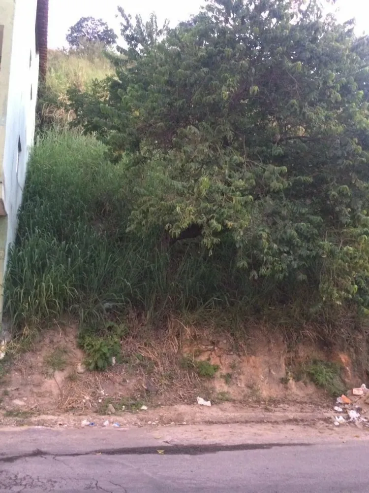 Terreno, 360 m² - Foto 5
