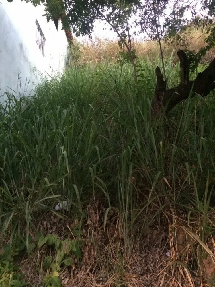 Terreno, 360 m² - Foto 4