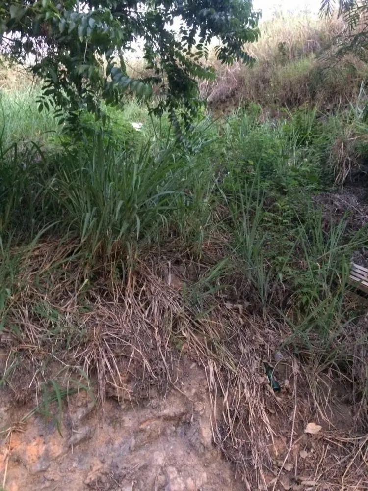 Terreno, 360 m² - Foto 3