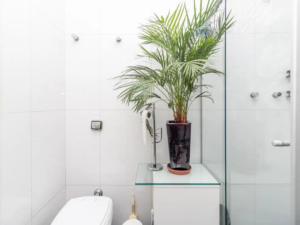 Apartamento, 3 quartos, 180 m² - Foto 1