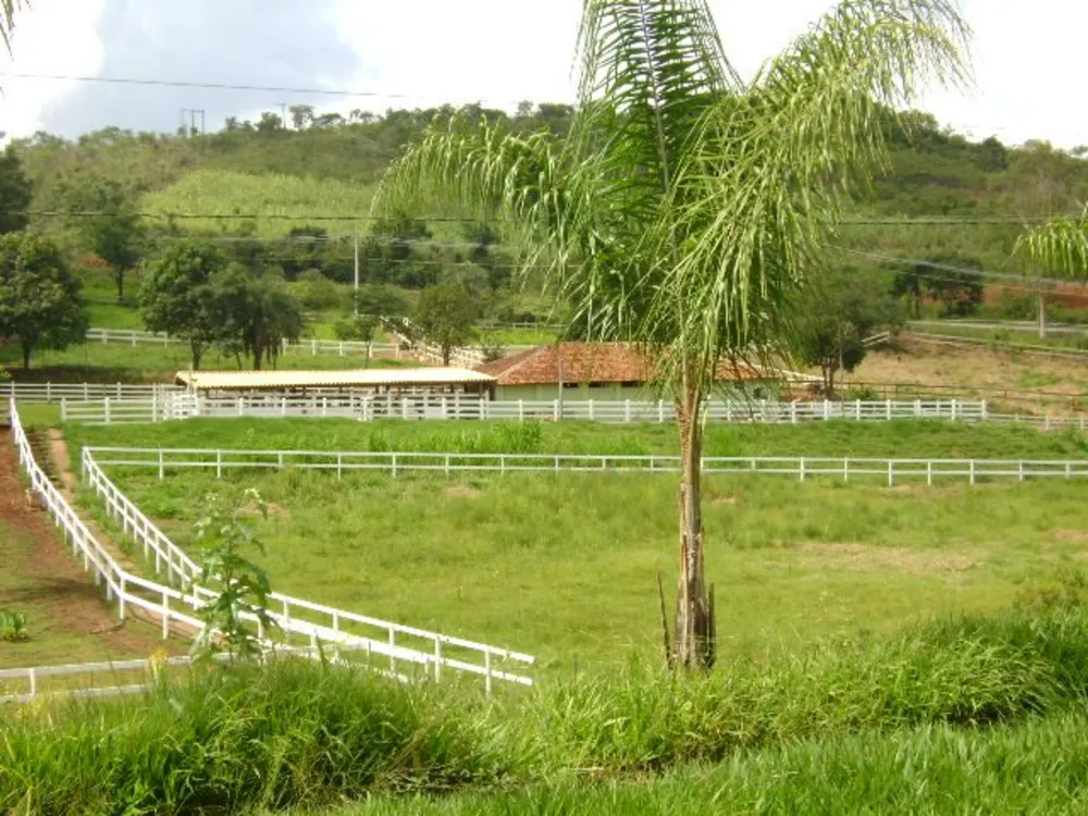 Fazenda, 4 quartos - Foto 3