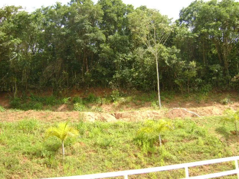 Sítio, 4 quartos, 550000 m² - Foto 3