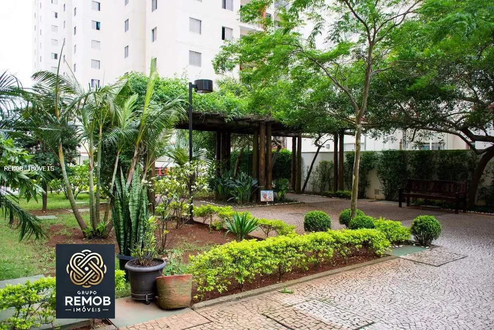Apartamento, 3 quartos, 60 m² - Foto 2