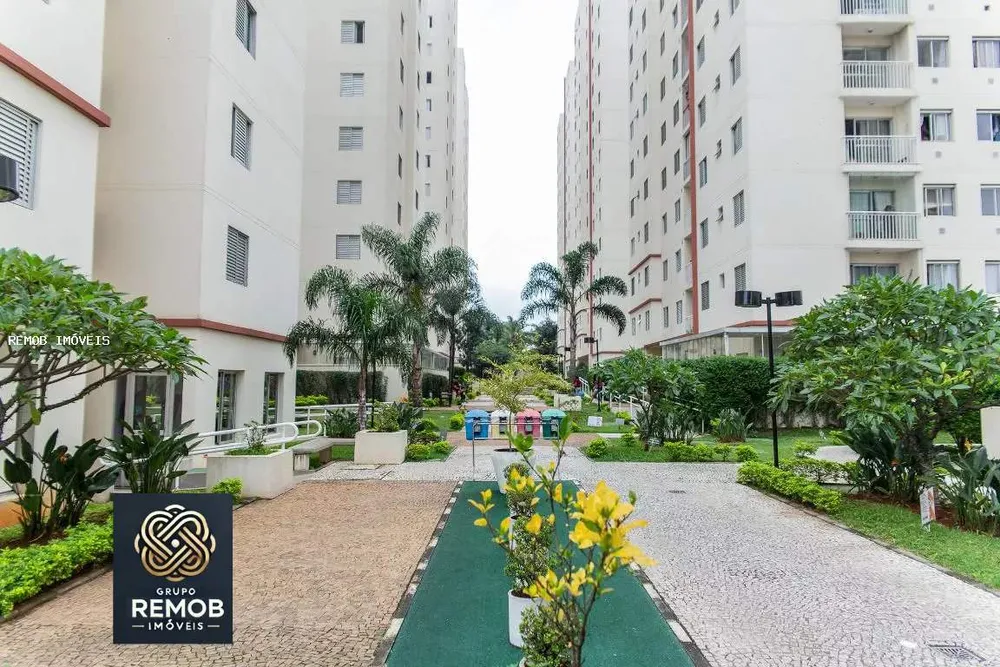 Apartamento, 3 quartos, 60 m² - Foto 1