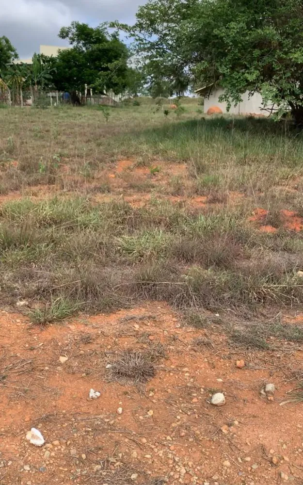 Terreno, 1000 m² - Foto 3