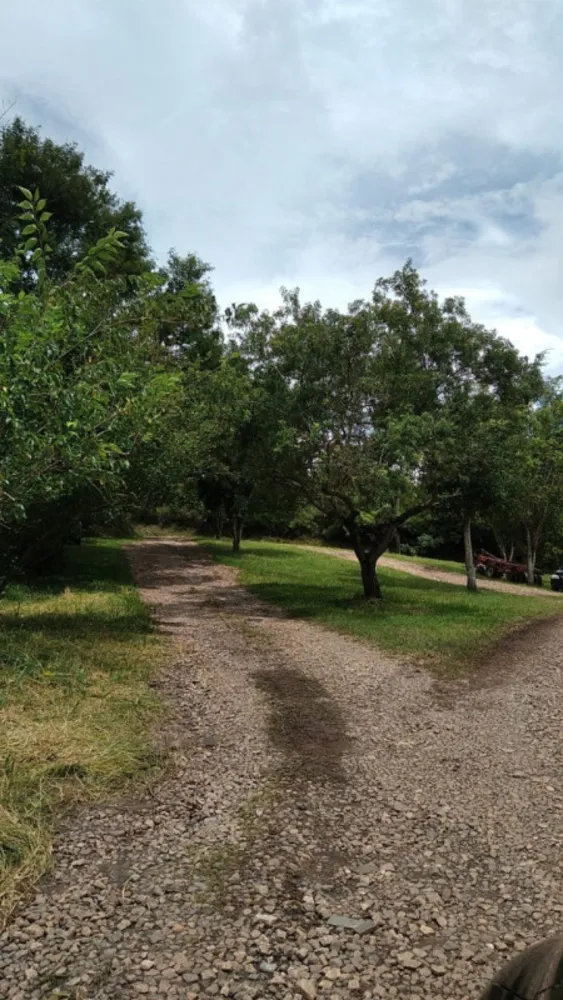 Terreno, 10000 m² - Foto 8