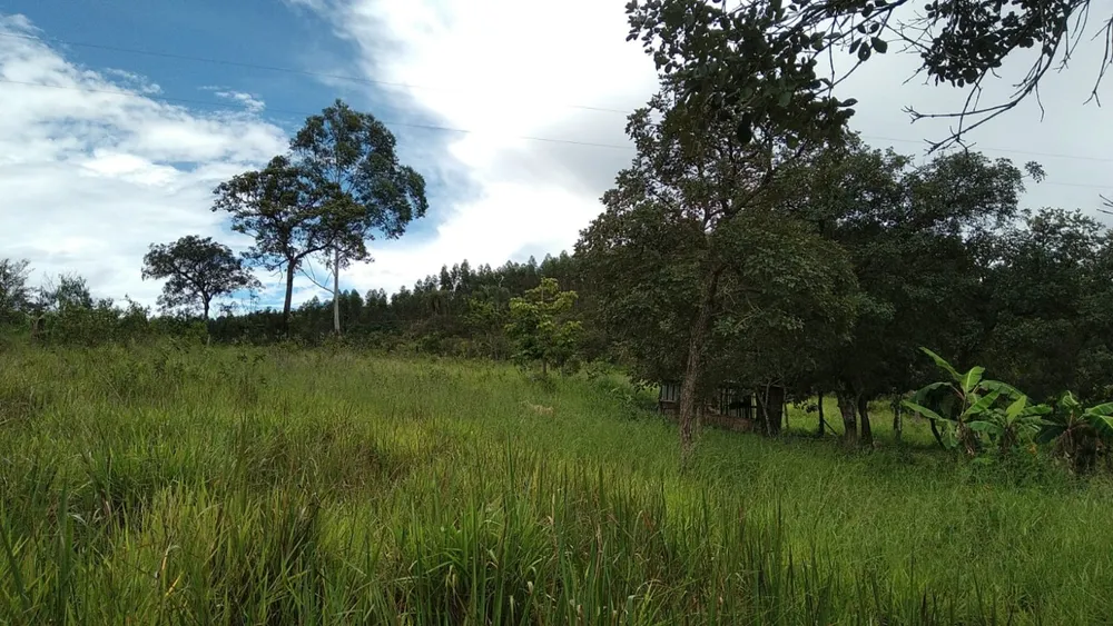 Terreno, 10000 m² - Foto 1