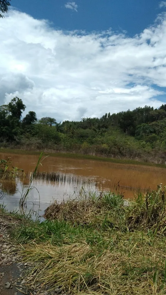 Terreno, 10000 m² - Foto 3