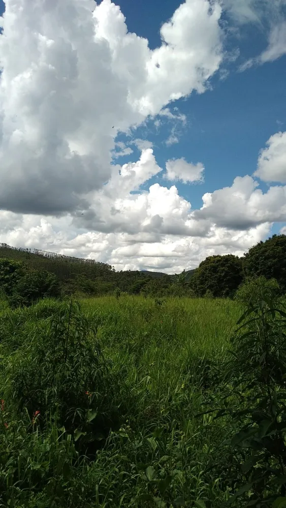 Terreno, 10000 m² - Foto 7