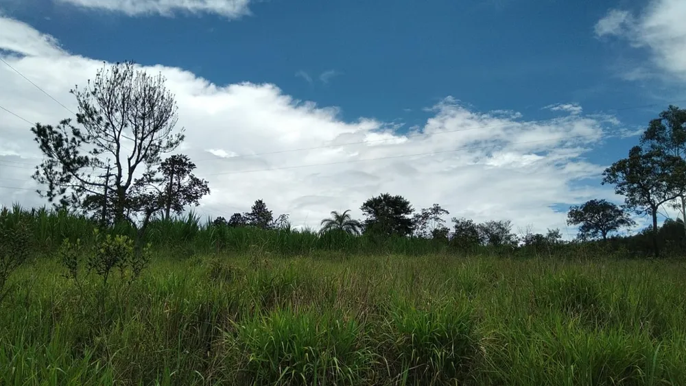 Terreno, 10000 m² - Foto 2