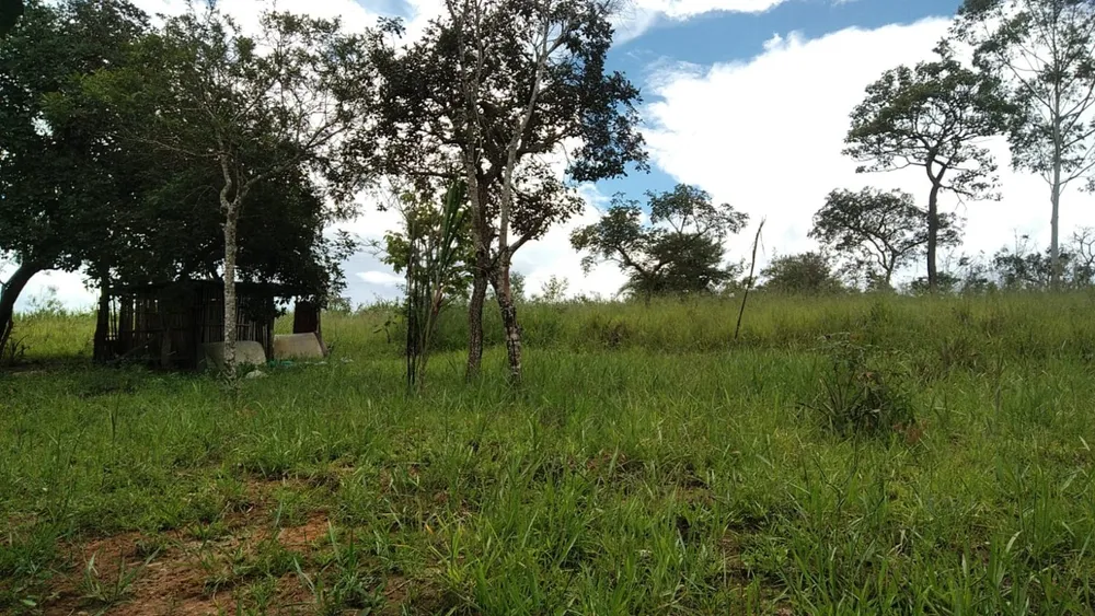 Terreno, 10000 m² - Foto 4