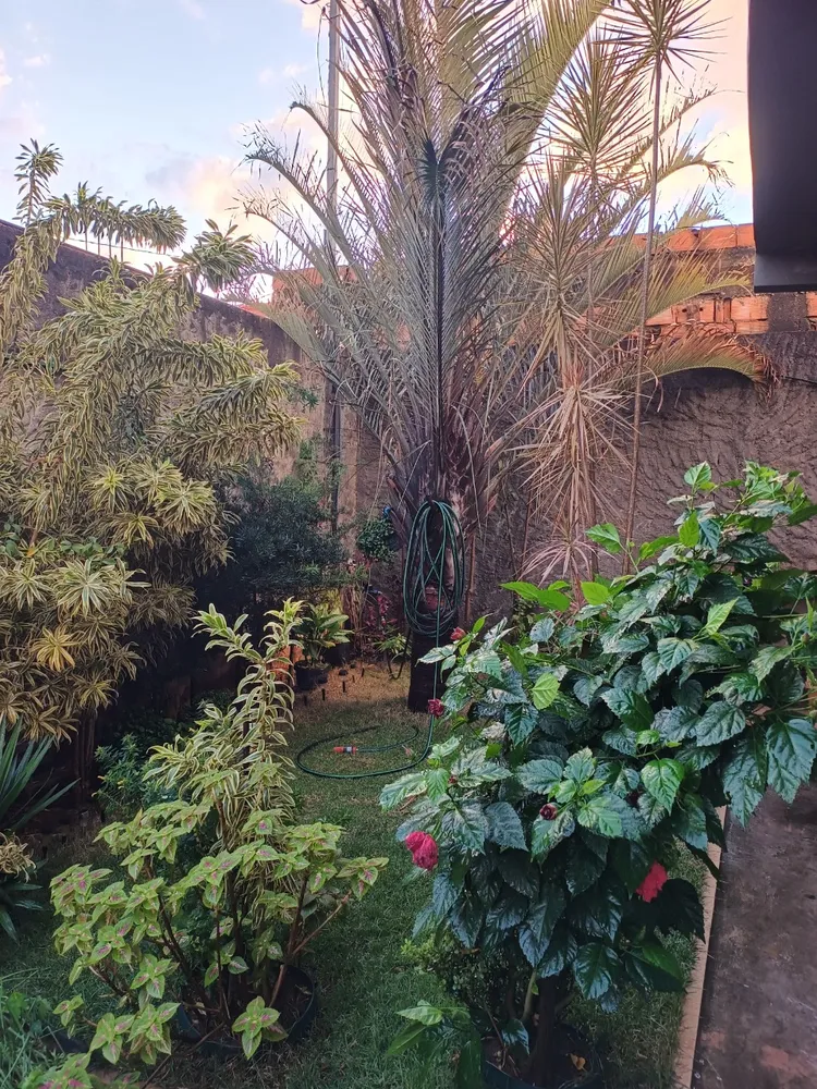 Casa, 3 quartos, 100 m² - Foto 1