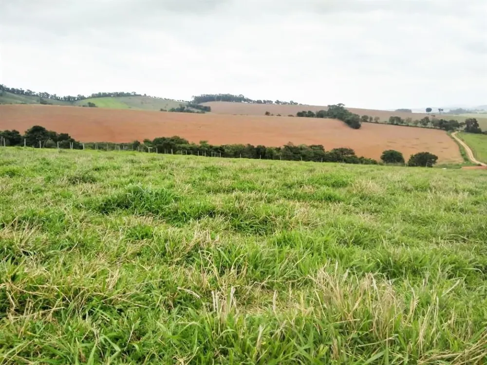 Fazenda, 650 hectares - Foto 2