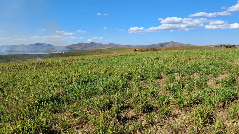 Fazenda, 650 hectares - Foto 10