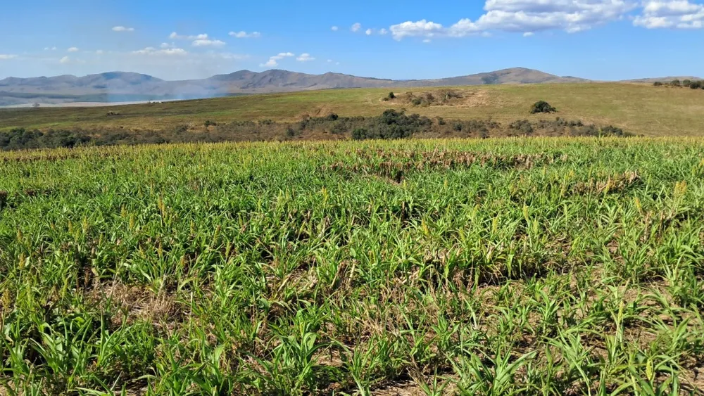Fazenda, 650 hectares - Foto 12
