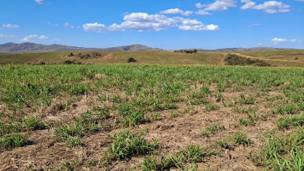 Fazenda, 650 hectares - Foto 10
