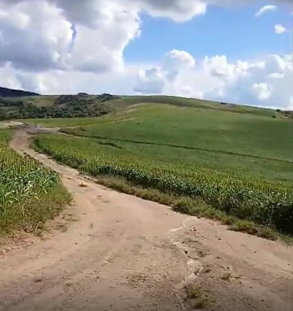 Fazenda, 650 hectares - Foto 15