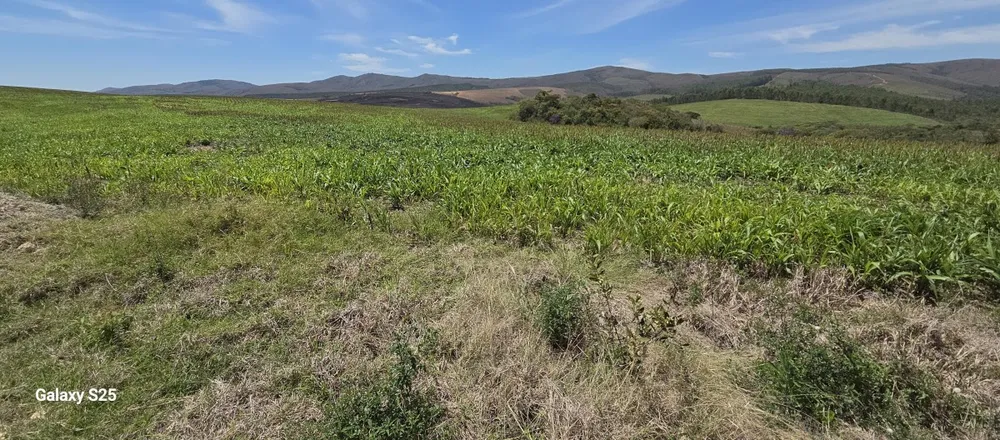 Fazenda, 650 hectares - Foto 11