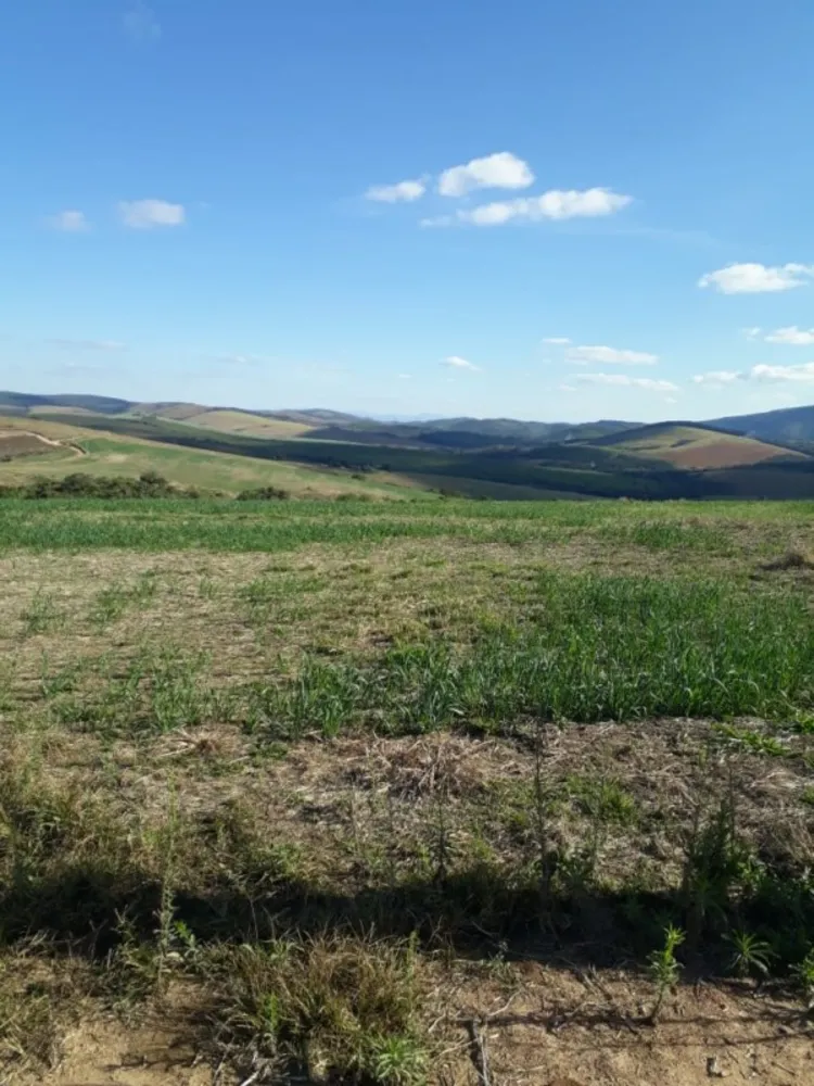 Fazenda, 650 hectares - Foto 6