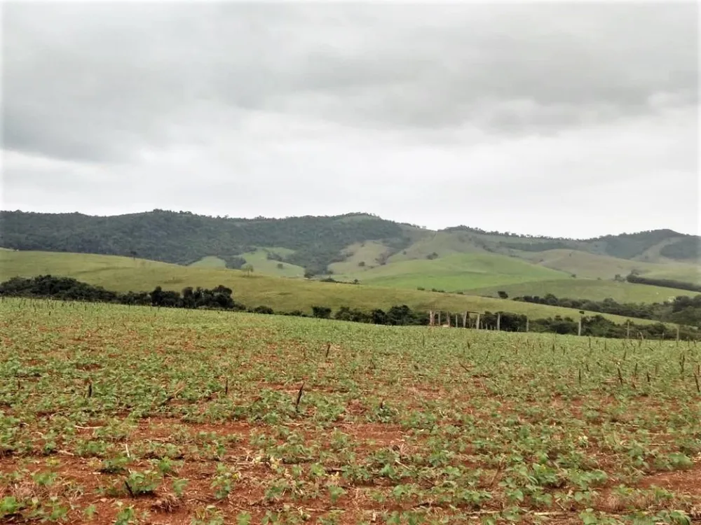 Fazenda, 650 hectares - Foto 13