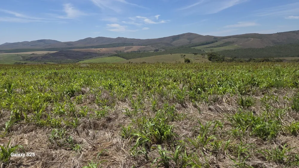 Fazenda, 650 hectares - Foto 3