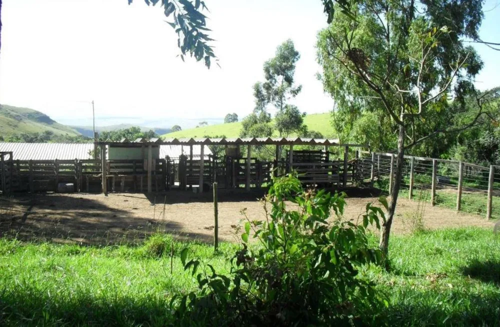 Fazenda, 1283 hectares - Foto 5