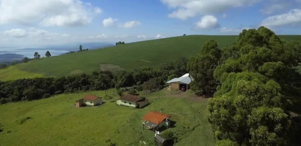 Fazenda, 1283 hectares - Foto 8