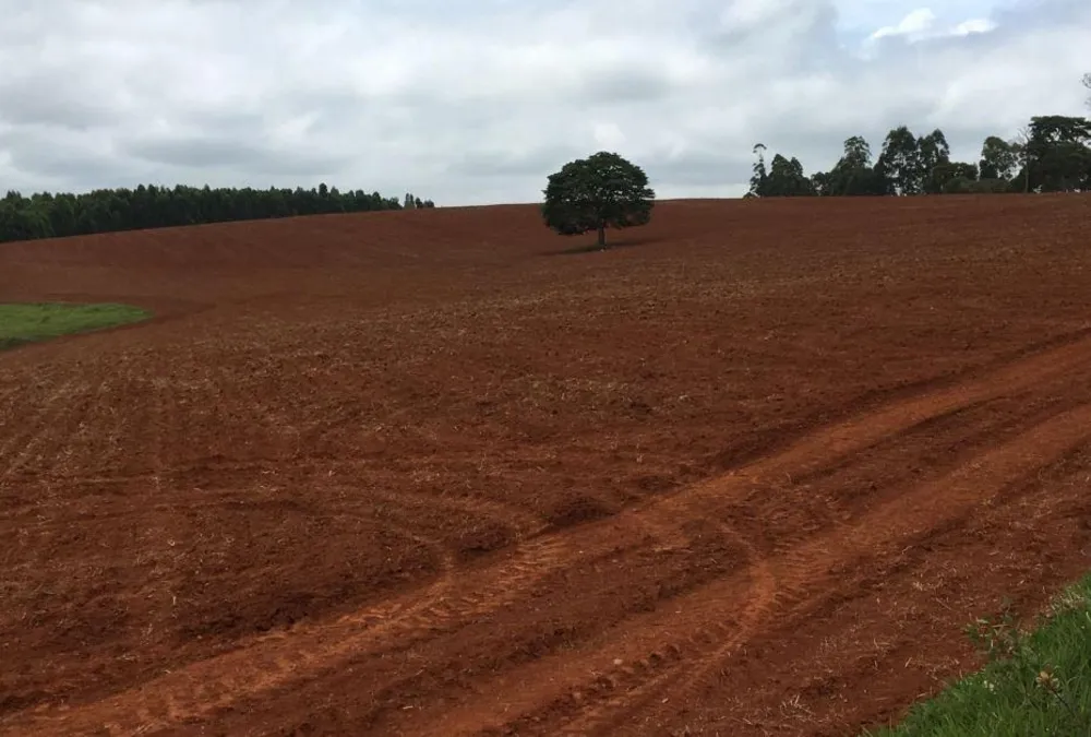Fazenda, 1283 hectares - Foto 7