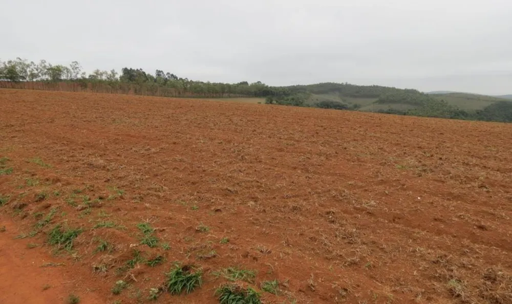 Fazenda, 1283 hectares - Foto 6