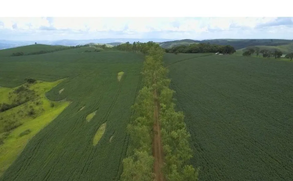 Fazenda, 1283 hectares - Foto 4