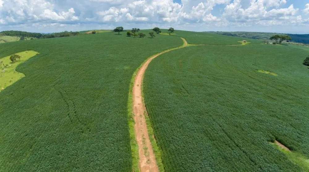 Fazenda, 1283 hectares - Foto 3