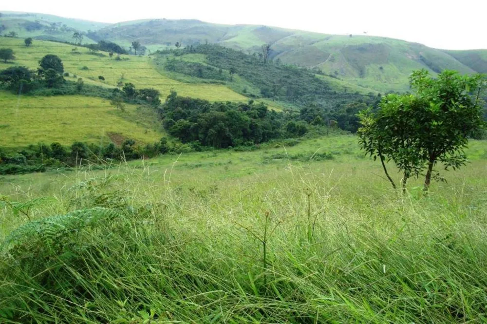 Fazenda, 1283 hectares - Foto 11