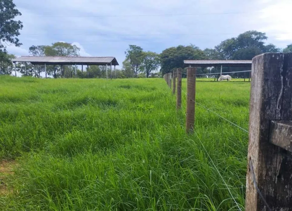 Sítio, 4 quartos, 20 hectares - Foto 8