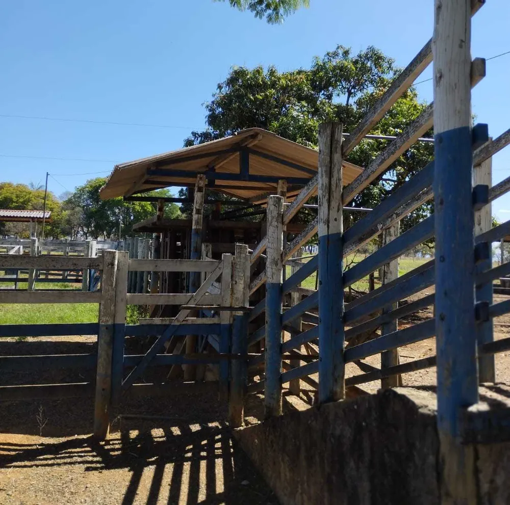Sítio, 4 quartos, 20 hectares - Foto 3