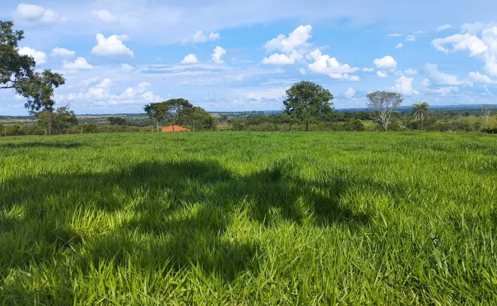 Sítio, 4 quartos, 20 hectares - Foto 1