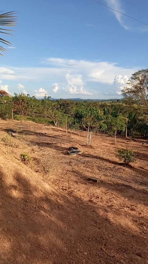 Chácara, 2 quartos, 2000 m² - Foto 2