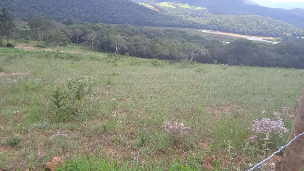 Terreno à venda, 7800m² - Foto 3