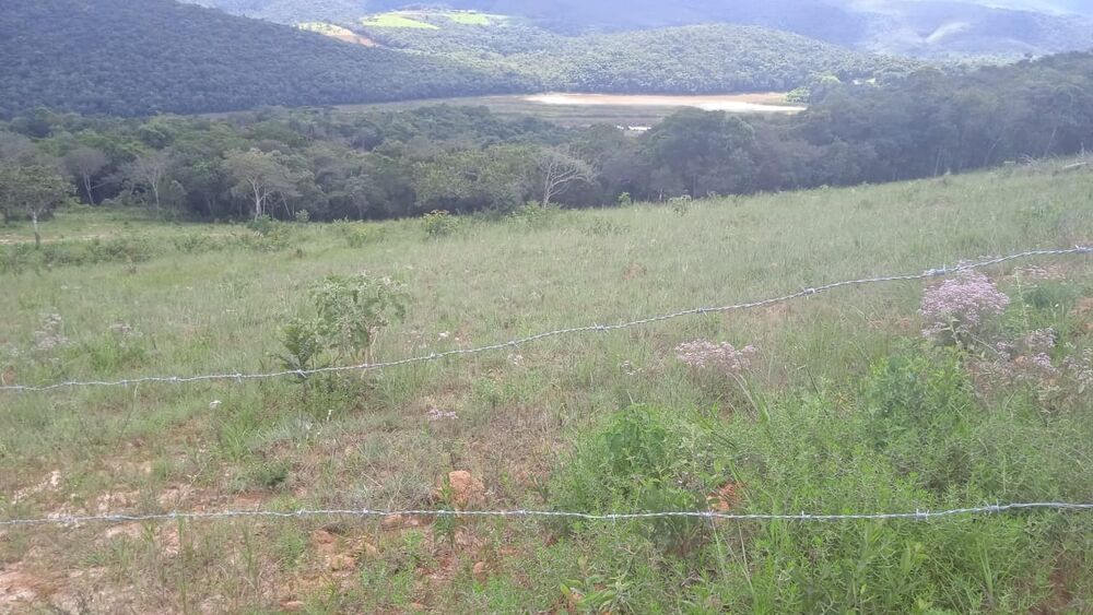 Terreno à venda, 7800m² - Foto 2