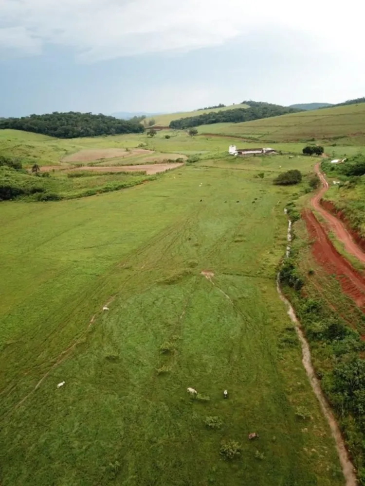 Fazenda, 5 quartos - Foto 4