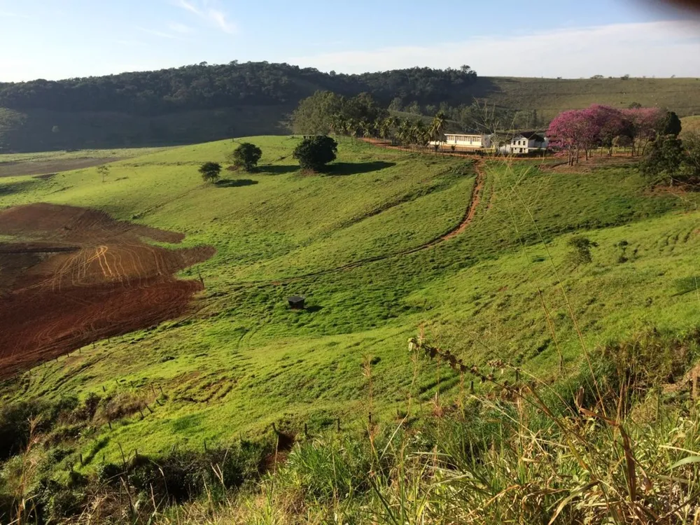 Fazenda, 5 quartos - Foto 2