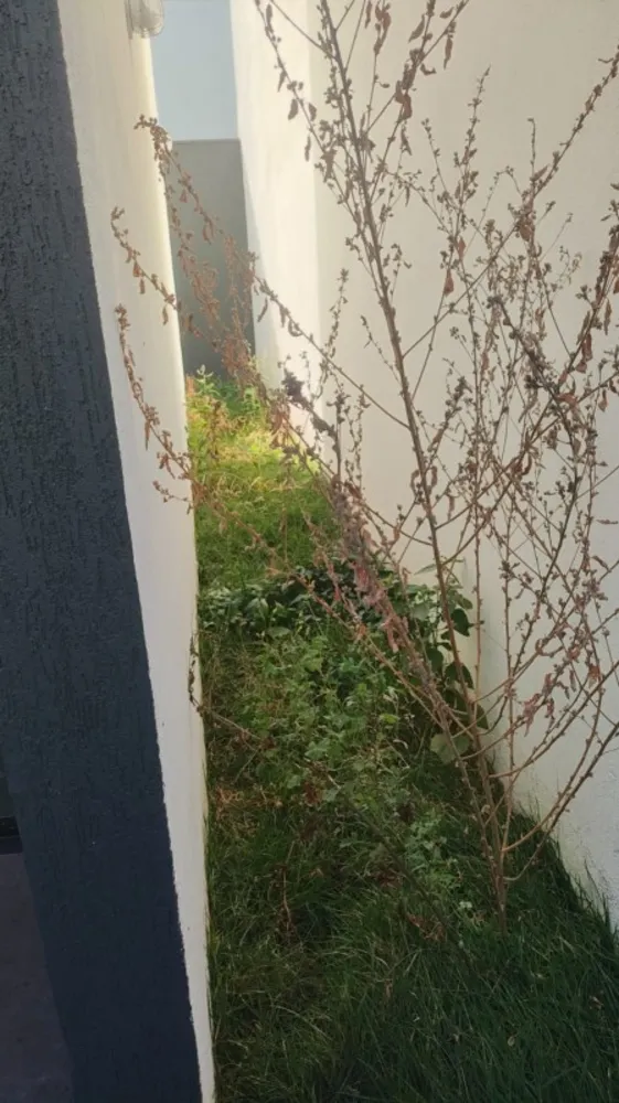 Casa, 3 quartos, 100 m² - Foto 10
