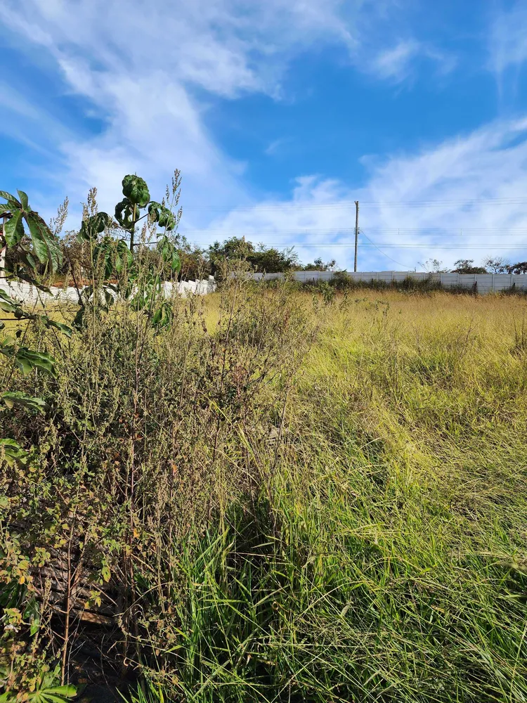 Terreno, 1333 m² - Foto 6