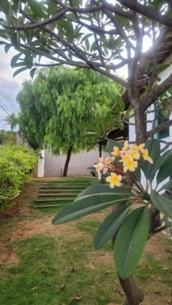 Casa, 3 quartos, 340 m² - Foto 8