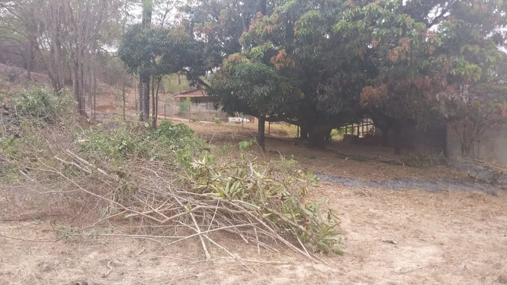 Terreno, 2000 m² - Foto 5