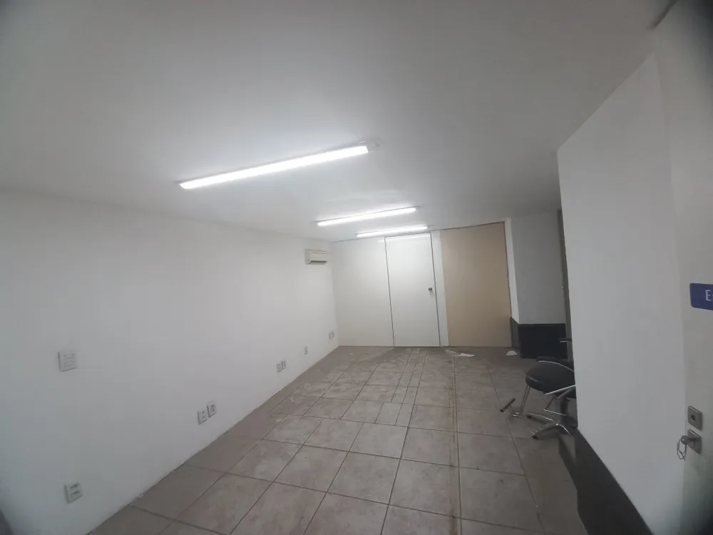 Loja-Salão, 2000 m² - Foto 3