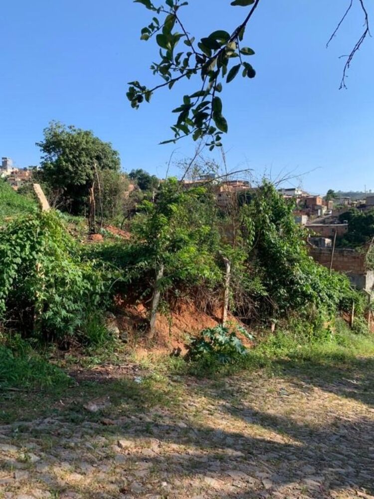 Terreno à venda, 250m² - Foto 1