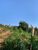 Terreno, 250 m² - Foto 2