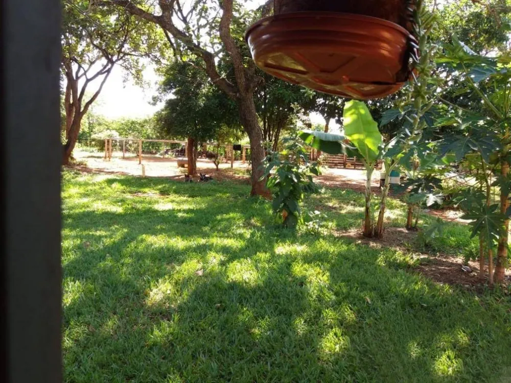 Sítio, 4 quartos, 20000 m² - Foto 5