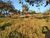 Terreno, 360 m² - Foto 3