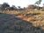 Terreno, 360 m² - Foto 2